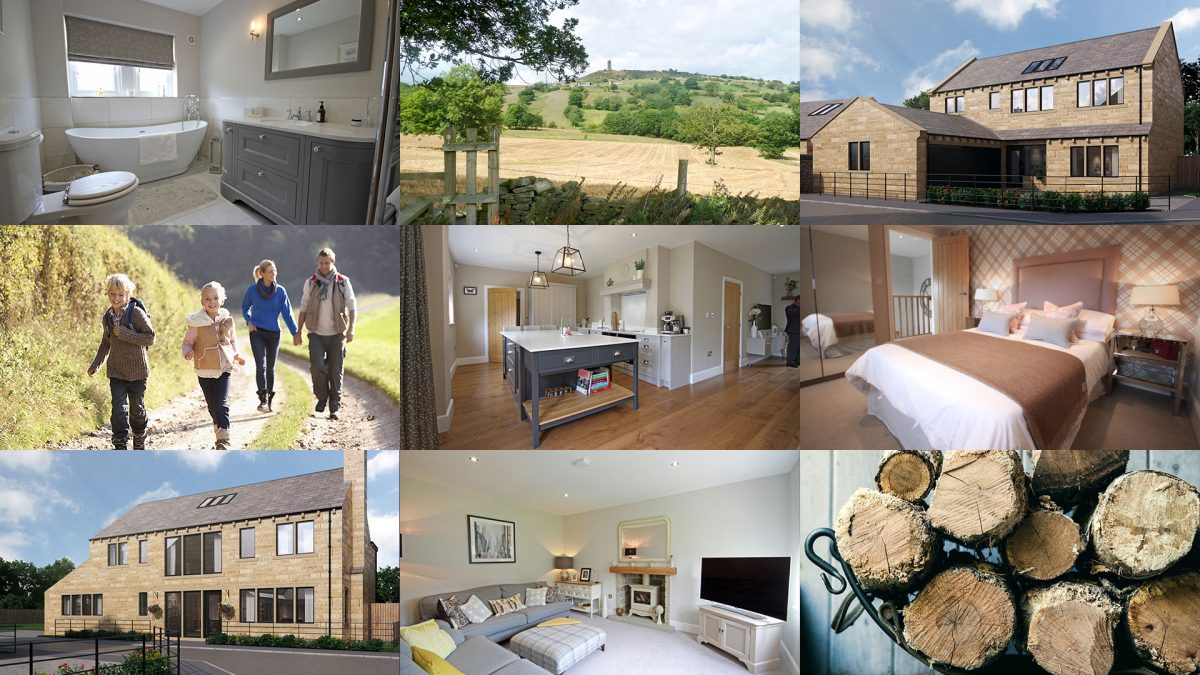 Yew Tree montage